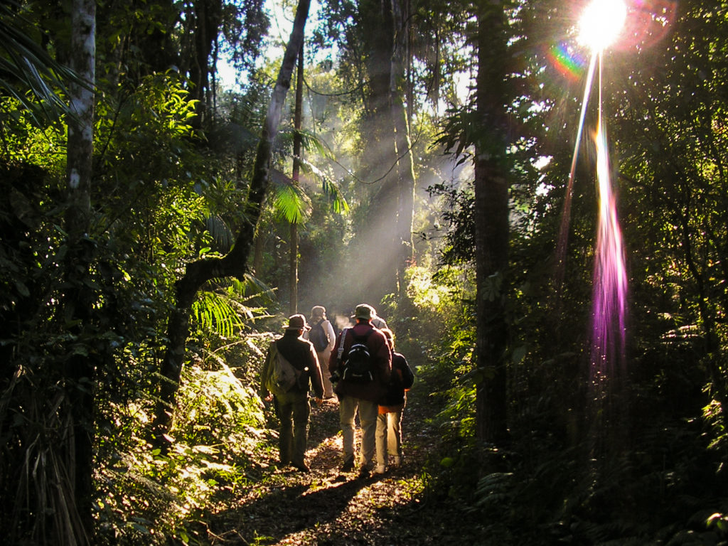 Argentina Jungle Trails Yacutinga Lodge Iguazu