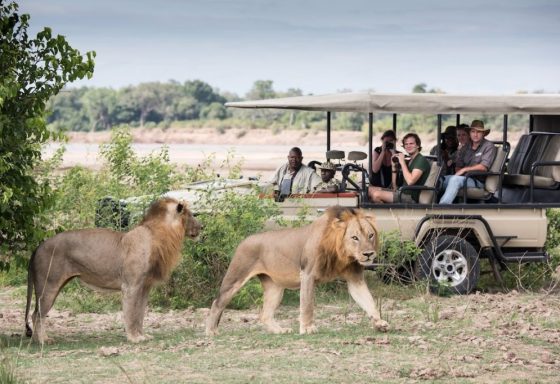 jacob_guiding-1024x682